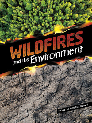 cover image of Wildfires and the Environment